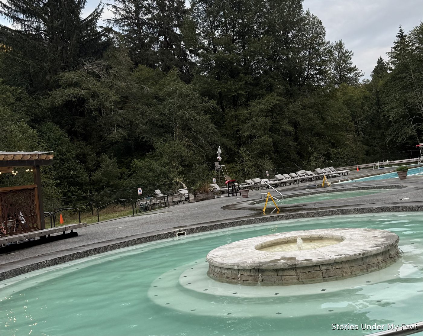 A steaming natural hot-spring pool ringed by forest