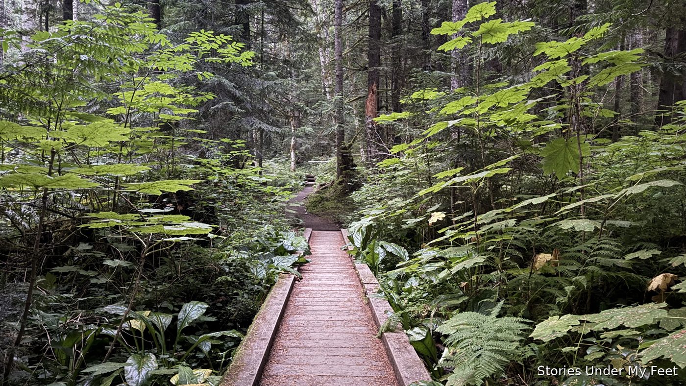 Olympic National Park
