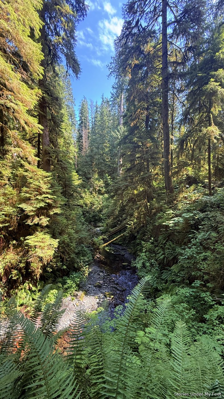Olympic National Park