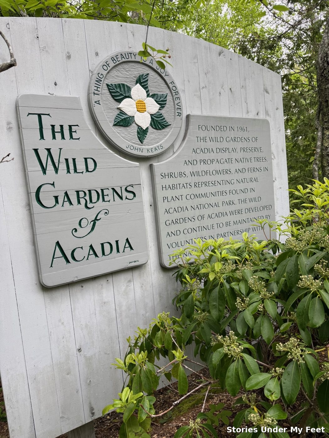 Acadia National Park